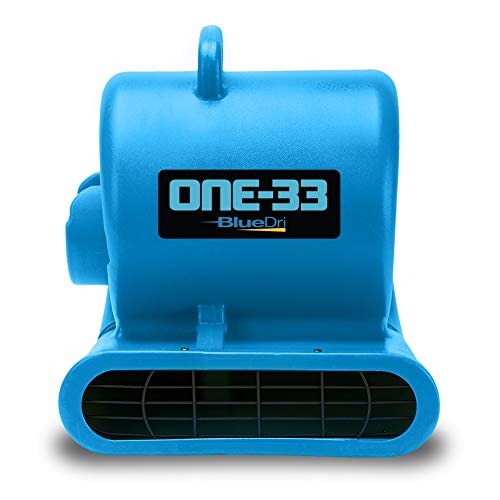 Amazon.com: BlueDri One-33 Air Mover, 1 