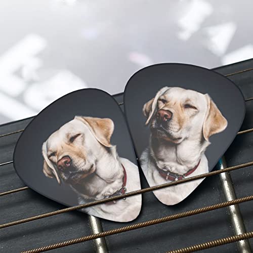 Ensemble de 12 médiators de guitare pour chien Labrador mignon pour guitare acoustique, guitare électrique, contrebasse… - Les Beatles, Paul McCartney, John Lennon, RIngo Starr, George Harrison Ensemble de 12 médiators de guitare pour chien Labrador mignon pour guitare acoustique, guitare électrique, contrebasse… – Image 8