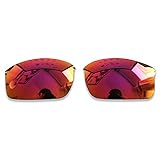 Polarlens