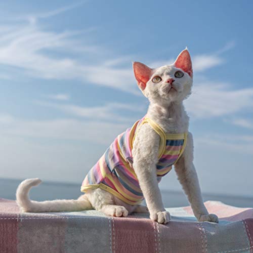 HAICHEN TEC Hairless Cats Stripe Camisole, Breathable Summer Sleeveless Vest Shirts for Sphynx, Cornish Rex, Devon Rex, Peterbald, Cat Wear Hairless Cat Clothes Soft Skin-Friendly Cats Apparel