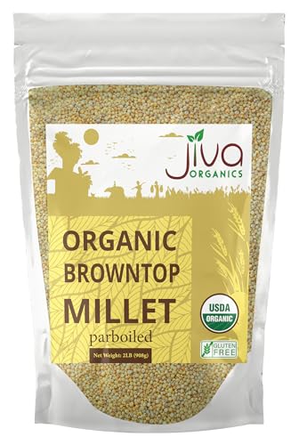 Jiva Organics Browntop Millet 2 LB Bag | Whole Grain,