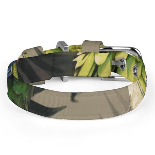 Collier doux pour chien finitions soignées en métal durable - 5
