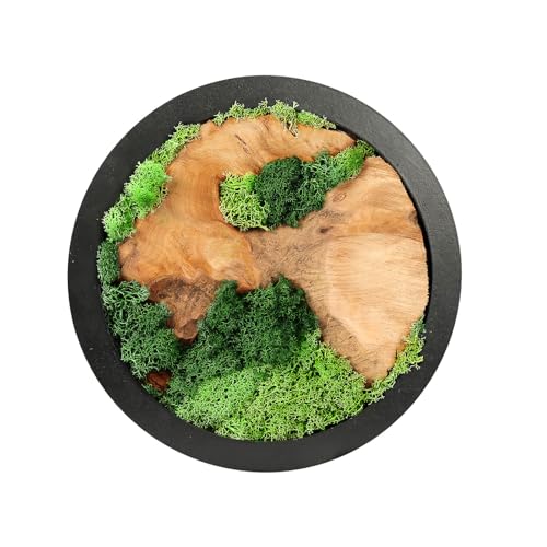 Natural Preserved Moss Wall Art - Natural moss&wood Handcrafted Rustic Charm for Your Home- Unique Wall Hanging for Living Room, Bedroom, Office, or Kitchen - No Maintenance