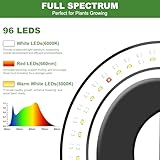 SIMKIWO B0DSV51PYN lato 2