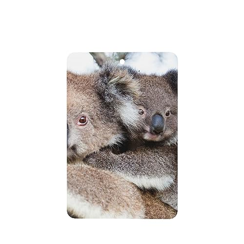 Koala Bear ԗpF p[\iCYꂽXCX J[A}Zs[^ubg ݂艺F܃J[h [vt 4 ԂƂ̑p