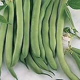 White Half Runner Pole Beans Seeds (20+ Seeds) | Non GMO | Vegetable Fruit Herb Flower Seeds for...