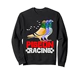 Pigeon Racing Pigeons Colombophile Colombofila