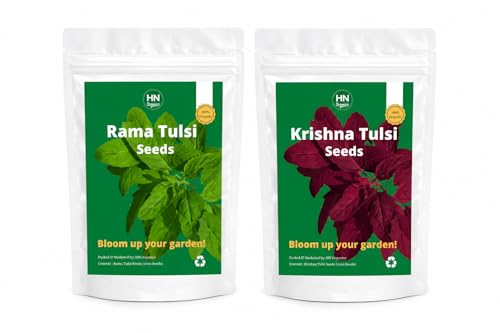 Image of Rama & Krishna Tulsi seeds Combo | Holy basil | Black Shyama | (Rama | Krishna Tulsi Combo)