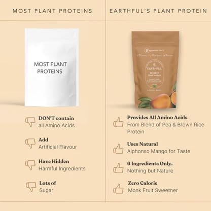 Image of Earthful Honest Plant Protein | 24g Protein /Serving & 4.9g BCCAs | For Weight Management, Energy, Muscle Support & Recovery | Made with Pea & Brown Rice | Alphonso Mango - 504g