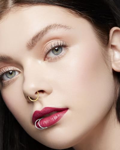 12Pcs 20G Fake Nose Rings Fake Septum Nose Ring Hoop for Faux Lip Septum Nose Ring Set Stainless Nose Hoop for Women Men4