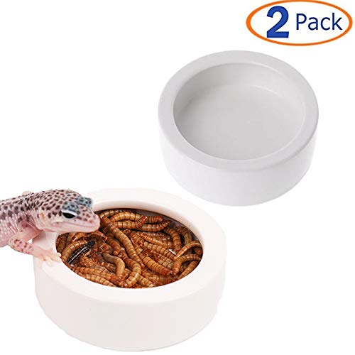 Tfwadmx 2 Pack Reptile Food Bowl, Mini Ceramic Water Feeder Bowl, Reptile Worm
