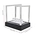 Garosa Bola de péndulo, luz Luminosa LED Newton Cradle Pendulum Balance Swing...