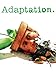 Adaptation