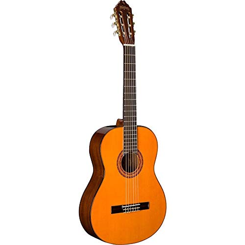 Professional Quality musical instruments Amazon.in Musical Instruments