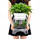 Geelin 1 Gallon Plastic Aquaponic Betta Fish Tank Aquaponic with Base and Top, Large Bowl Shatterproof Ecosystem Aquarium with Clear Clarity for Terrarium, Flower Vase Betta Fish Centerpiece Gifts
