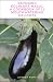 Savoring Eggplant Magic: A Cookbook of 12 Mouthwatering Delights