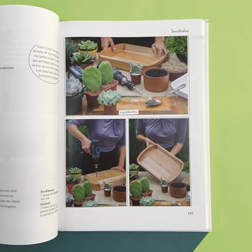 Minhas plantas - jardinagem para todos: (até quem mata cactos)