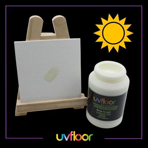 Peinture phosphorescente 250 ml luminescente pour déco
