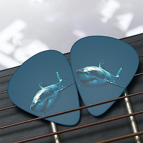 Blue Shark Lot de 12 médiators tendance et durables dans une boîte pour ukulélé guitare électrique basse - Les Beatles, Paul McCartney, John Lennon, RIngo Starr, George Harrison Blue Shark Lot de 12 médiators tendance et durables dans une boîte pour ukulélé guitare électrique basse – Image 8