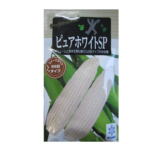 �s���A�z���C�g�r�o ����c�̃z���C�g�g�E�����R�V�i��ł��B