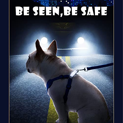 Small Dog Harness With 5 Ft Leash, Lightweight Soft Dog Halter Harness, Adjustable Reflective No Pull Dog Halter Harness (S, Blue) #TOP4