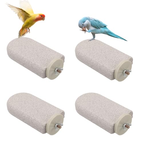4uds Perchas para Aves, Piedra Afilar el Pico Percha de Calcio Perroquetos Recortadora Garras Pies Plataforma Juguetes Masticar para Periquitos Loritos (Gran Helado)