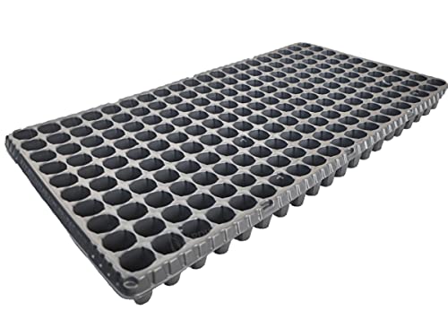 SEMENTEIRAS MUDAS GERMINAÇÃO HORTALIÇAS 200 CÉLULAS 20 UND