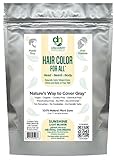 Blonde Henna Hair Color For All Kit | 100% Henna 1 Ounce Natural Mustache Dye & Beard Dye Powder (Sunshine Light Blonde) Organic, Herbal & Vegan Chemical & Cruelty Free Permanent, Sample Size.