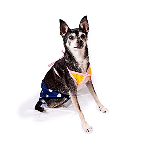 Midlee Yellow & Blue Polka Dot Dog Bikini (Medium) #TOP1