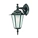 Acclaim 6102BK/FR Camelot Collection 1-Light Wall Mount Outdoor Light Fixture, Matte Black
