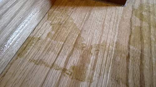 HALBAU HB02 100 ml detergente per schiuma PU