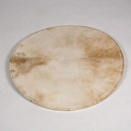 Goat Skin Djembe Head | Goatskin for Drum Doumbek| Natural Flat Round Piece GOAT SKIN Head untanned by AnNafi (16 inches)