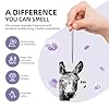 Donkey'S Head Car Air Fresheners 4 Pcs Hanging Scented Cards Fragrance Scented Cards For Car Aromatherapy Tablets #4