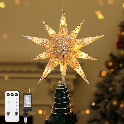Lewondr 10-Pointed Star with Remote