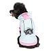 Blueberry Pet Cotton Dog Camera Hoodie in Mint & Hot Pink, Back Length 10", Pack of 1 Clothes for Dogs
