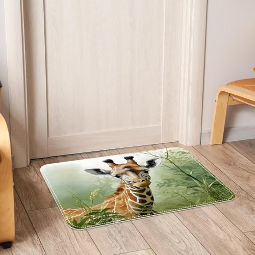Tapete de entrada súper absorbente de 50 x 80 cm lavable para puerta trasera 7