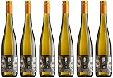 Thomas Lorch Riesling Nackenheim Rothenberg „DER WINZER & DER WIRT“ 2022 Trocken (6 x 0.75 l)
