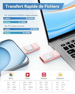 ZARMST Cle USB 256 Go, Clé USB 4 en 1 pour iOS/Pad/Android/Type C/PC, Cle USB C 3.0 Flash Drive Transfert Rapide, Clef Mémoire Externe pour Stockage Photos, Vidéos, Fichiers(Rose)