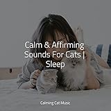 Calming Cat Music