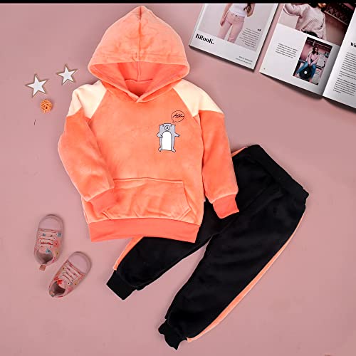 Image of Bold N Elegant Unisex Kids Velvet Fleece Solid Happy Hamster Bear Cartoon Warm Velvet Pullover Sweatshirt Hoodie Tshirt and Pyjama Pant Winter Clothing Set