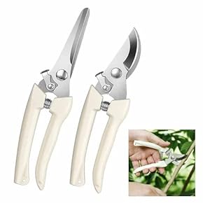 刈込鋏 剪定 工具 DIY 造園 工具 家庭用 業務用 動作品 千吉 金】[240MM](4977292637770) 本鍛造 葉刈り用刈込鋏 剪定