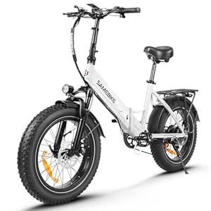 SAMEBIKE LOTDM200-II Elektrische Fiets E-Bike Opvouwbare 20”×4.0″ Fat banden 48V 13Ah Lithiumbatterij Range 110KM 7 Speed 25KM/H (white)