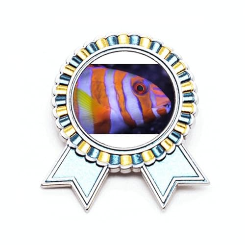 Broche motif marin poissons tropicaux idée cadeau pour femme taille M