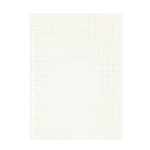 Image of Zelten Loose Leaf Punched Paper Refills Paper for 6 Hole Binder Personal Organizer Diary Notebook Refillable Planner (Squared,A4 /30 Hole)
