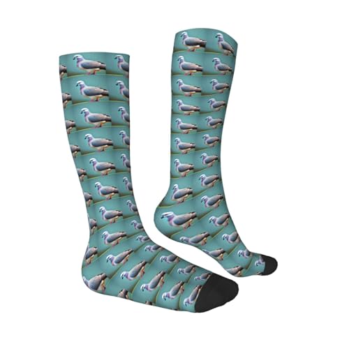 cartoon pigeon 4 print Clash of colours long socks, sports running cycle long socks, comfort long socks3