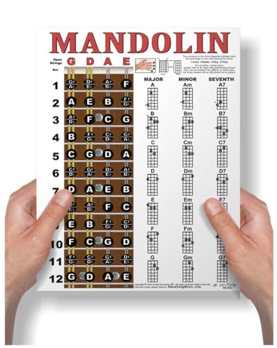 Tableau d'accords mandoline plastifié contre l'oubli des positions de la touche en voyage