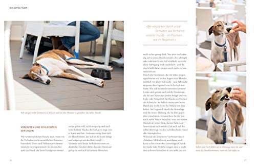 Die José-Arce-Methode: Liebe Deinen Hund. Wie Sie beim Gassigehen die Beziehung stärken (GU Mensch-Hund-Beziehung)
