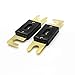 2PCS ANL-100 100Amp Car Amplifier Fuse Gold Plated for Car Vehicles Audio System (2pc ANL 100amp Fuse)