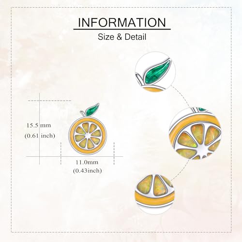 Orange Earrings 925 Sterling Sliver Fruit Stud Earring Orange Jewelry Gifts for Women3