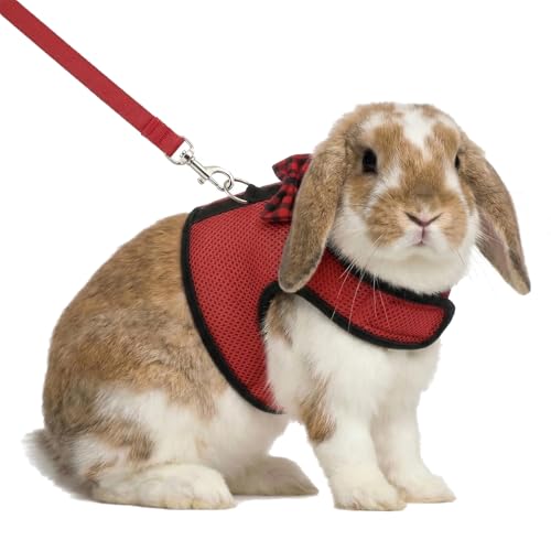 Arnés de conejito para gatito sin tirones ajustable para evitar escapes de mascotas pequeñas 2
